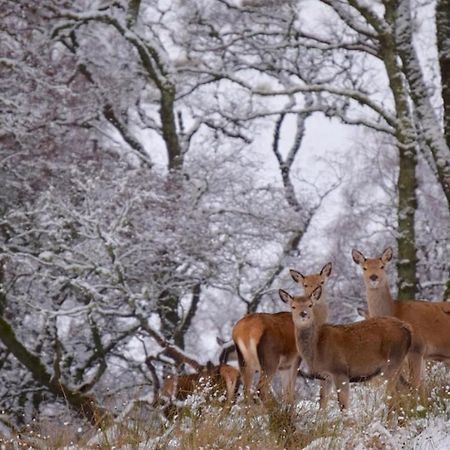 Lochside Lodge Glengoulandie Dış mekan fotoğraf